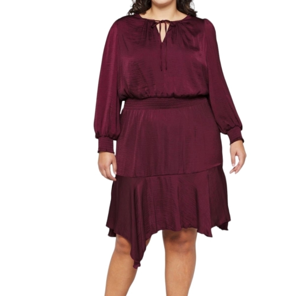 NWT Sam Edelman Burgundy Tie Neck Long Sleeve Minidress Size 3X